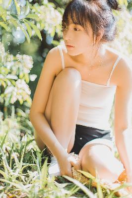 沉默的荣耀电视剧免费观看