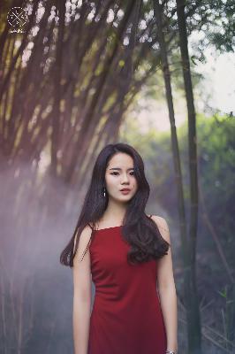 苍兰诀在线观看完整免费版电视剧