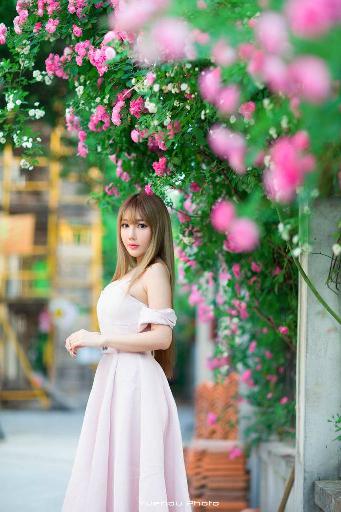 疯狂动物城2(国语版)