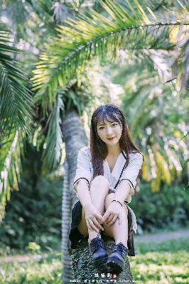 哔哩哔哩网页版