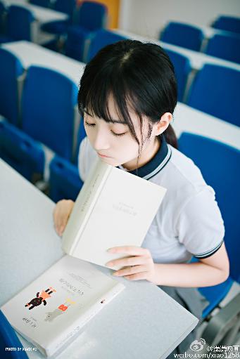 美女免费高清版电视剧在线播放