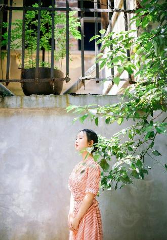 韶华若锦电视剧免费观看