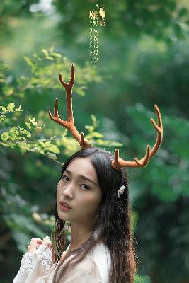 中文在线字幕高清电视剧推荐