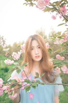 樱花动漫官方官网入口