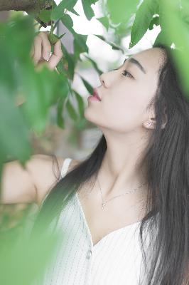 美女免费高清版电视剧在线播放