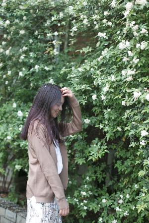 青丝影院电视剧在线观看全集免费