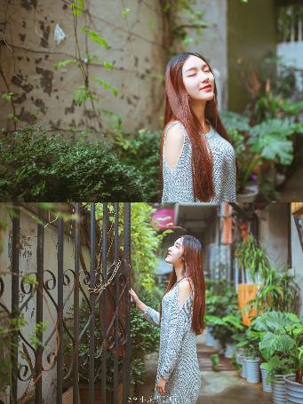 野兽们的战争在线观看免费版