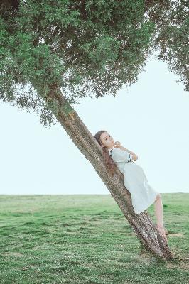 丝瓜视频在线观看