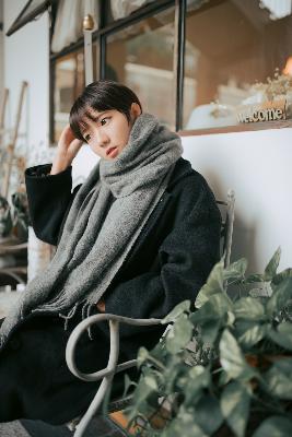 炽道电视剧全集免费观看